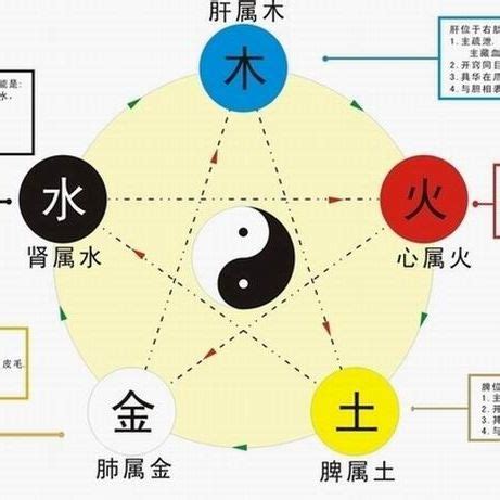 生克|五行生剋(哲學理論):實質,特性,生克,劃分,物象歸類,相。